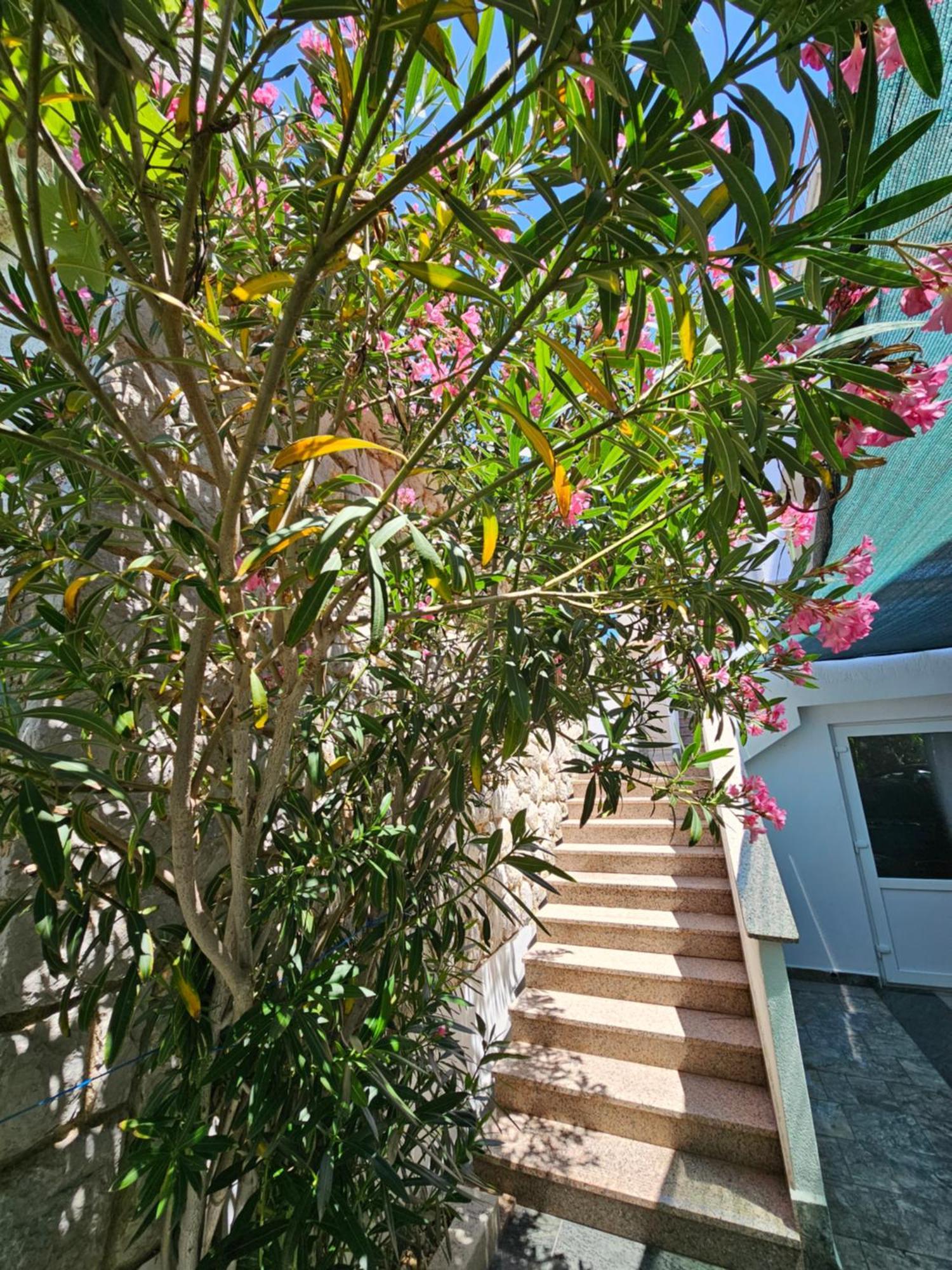 Apartments Bahar Krk Krk Town Buitenkant foto